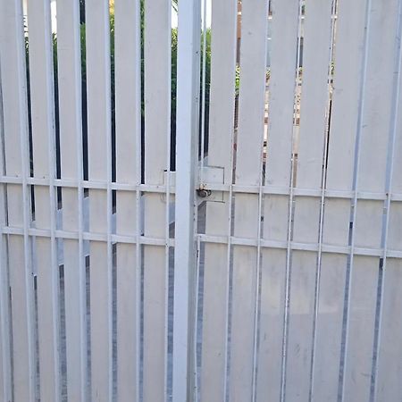 Casetta Con Giardino Villa Santa Marinella Exteriör bild